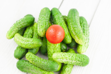 Single red tomato and heap of green fresh cucumbers on white rustic background