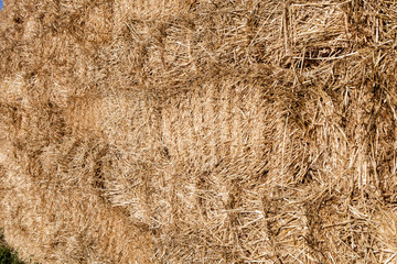 Wall of straw pallets