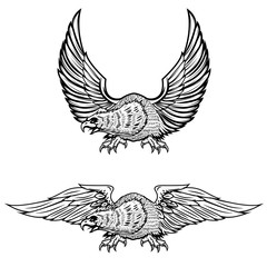 Eagle illustrations isolated on white background.