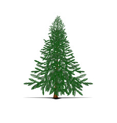 An illustration of a christmas tree