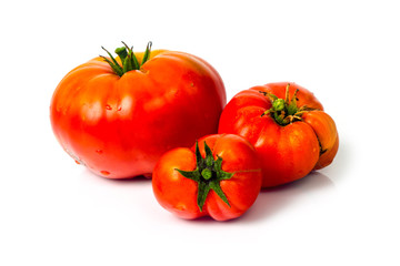 Tomatoes on a white background