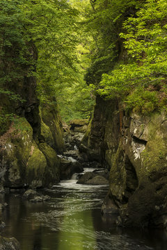 Stunning ethereal landscape of deep sided gorge with rock walls and stream flowing through lush greenery