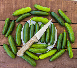 To make cucumbers, cut cucumbers with knife and make salad,Natural and organic tomatoes and cucumbers to consume and human health, natural vegetables
