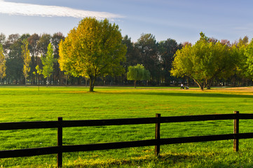 Fototapeta premium Green grass and colorful trees surrounded by a wooden fence on a golf course at sunny morning in Belgrade, Serbia