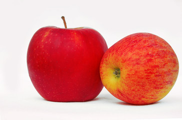 Two apples, red and red-yellow on a light gray background