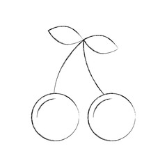 cherry fruit isolated icon vector illustration design