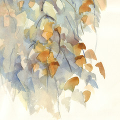 autumn birch branches with leaves watercolor background - 167654116