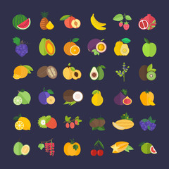 Set Vector Illustration of Fruits