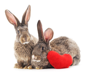 Fototapeta na wymiar Two rabbits and heart.
