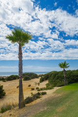 Sand dunes between hotels and beach of La Barrosa in Sancti Petri, Cadiz, Spain