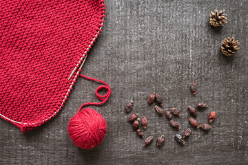 Knitting, cones and dryed hips on black background