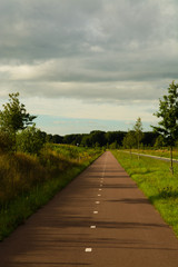 Fototapeta na wymiar Safe and cheap transportation - network of bicycle paths in the Netherlands
