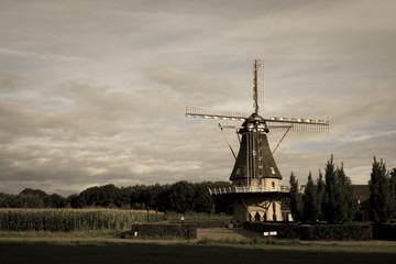 Old Dutch wild mill in North Brabant