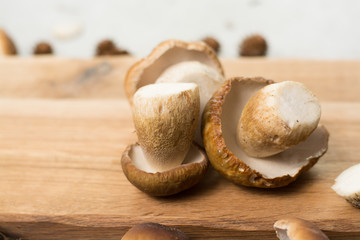 Autumn dinner concept - cutting board with fresh porcini boletus oak mushrooms, high quality, ready to cook