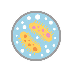 Study of bacteria icon vector illustration design