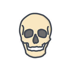 Bones colored icon human skull