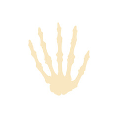 Fototapeta na wymiar Bones flat icon finger hand