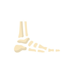 Bones flat icon feet ankle