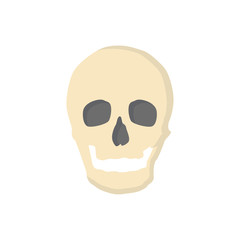 Bones flat icon human skull