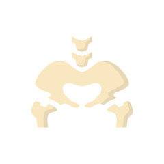 Bones flat icon pelvis