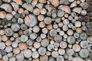 Lumber wood log stack stockpile detail pattern