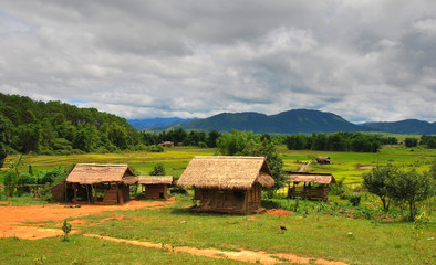 Fototapeta na wymiar Traditional rural house surrounded by paddy fields and mountains. Northern Laos.