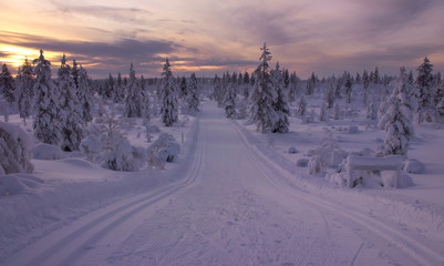 A view at the cross country ski track leading through Urho Kekkonen National Park, Finland, during the sunset time.