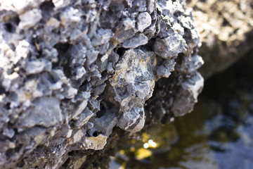 Stones on the beach at the sea under water