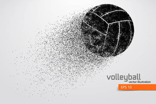 Silhouette of volleyball ball.