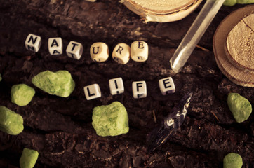 word nature life made with wooden letters. Wooden illustration blackground - 167663907