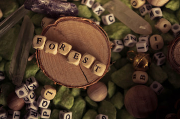 word forest made with wooden letters. Wooden illustration blackground