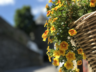 Fototapete bei efototapeten.de bestellen   