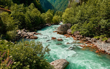 Mountain fresh and cold river in summer time