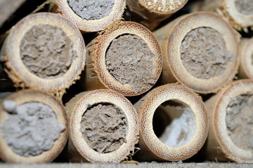 Bewohntes Insektenhotel