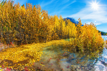 The Golden Autumn of Rocky Mountains