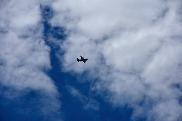 Fototapeta na wymiar 飛行機と青空と雲「空想・雲のモンスターたち（飛行機の奥に巨大なモンスターの顔などのイメージ）」存在感のある、何か偉大なものに見つめられ、見守られる、成功へと導かれるなどのイメージ