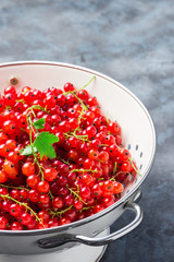 Ripe red currant in colander on concrete,slate background. Culinary background, closeup. 