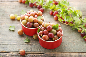 Ripe gooseberries fruit in bowl with tree branch on wooden table