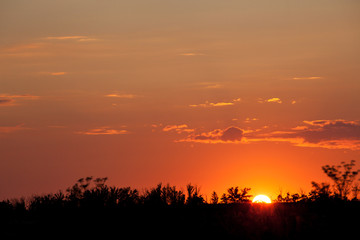 Fototapeta premium sunset field