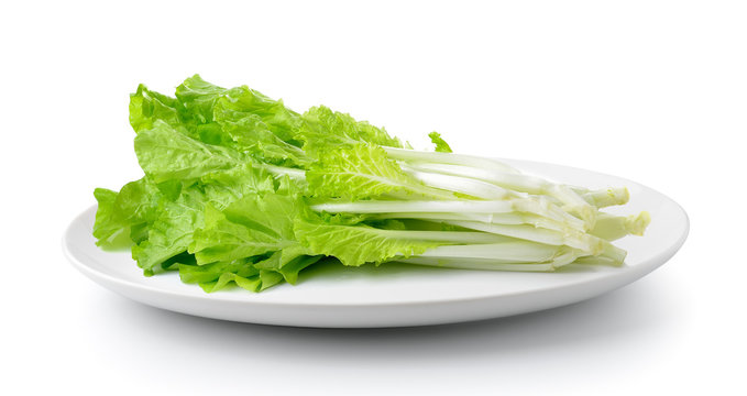 lettuce in a plate isolated on a white background
