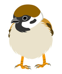 スズメ　正面 Japanese Sparrow Illustration-Front view