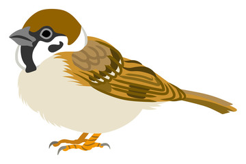 スズメ　左向き Japanese Sparrow Illustration-Side view ,Left