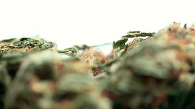 Marijuana bud on rotating base over white background - macro footage