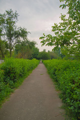 beautiful sun rising sky at road in rural