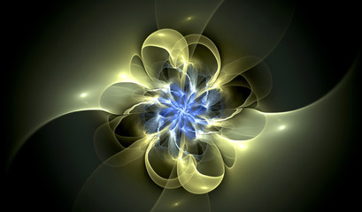 abstract flower fractal shape