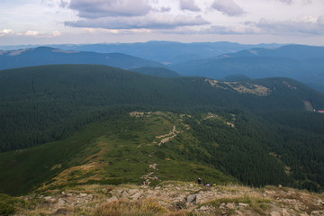 Fototapeta premium First white and pink crocus flowers blooming in Carpathians