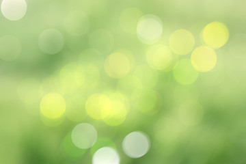 Fototapeta na wymiar Green grass with sunlight