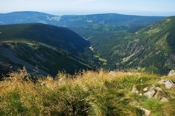 Fototapeta na wymiar Giant mountains summer scenery, Snezka hill, Czech republic.