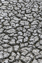 Dürre im Nationalpark Neusiedler See, Seewinkel