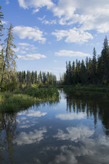 Fototapeta na wymiar Reflection pond and landscape at the creek joining Kingsmere Lake and Waskesiu Lake in Prince Albert National Park in Saskatchewan Canada.